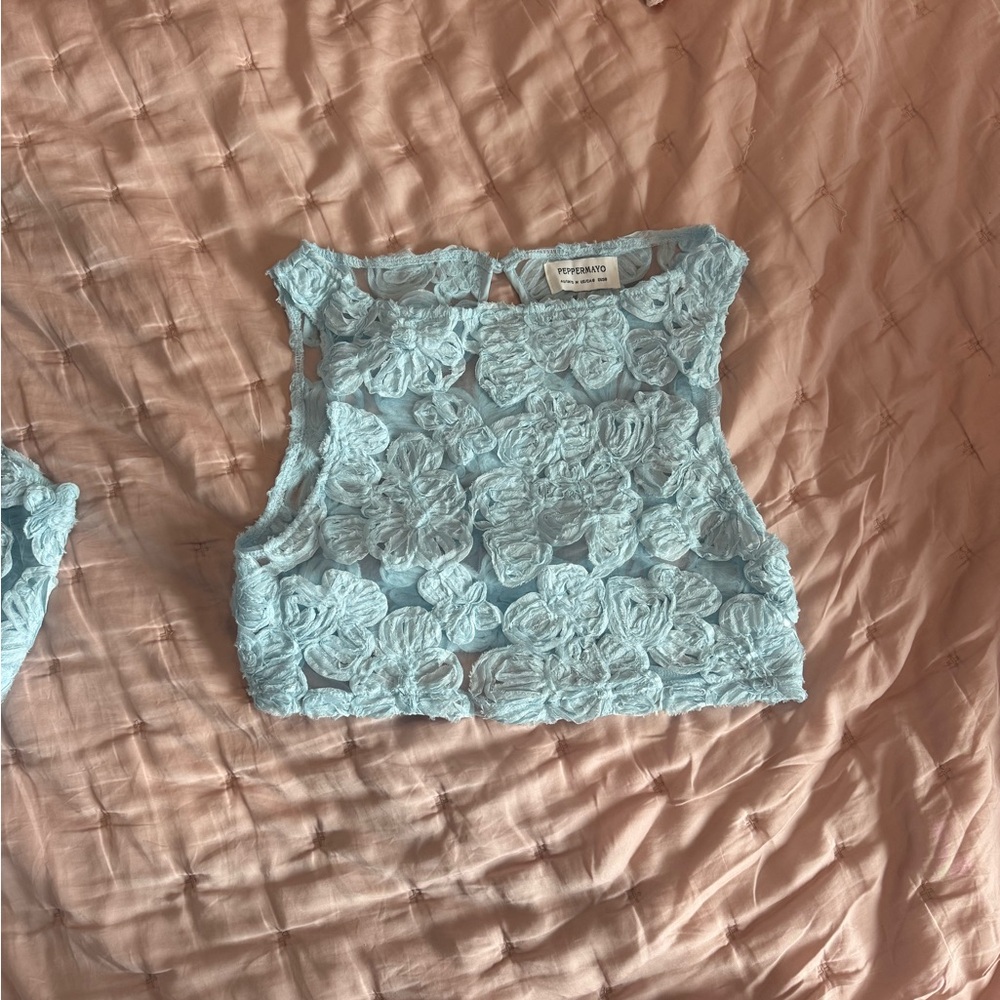 Peppermayo Powder Blue Floral Applique Crop Top